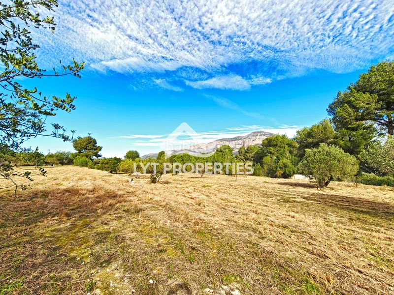 Foto 570b809e-acb9-4c32-ac66-68ce322c3420. Finca rústica a Partida Comunes-Adsubia Xàbia