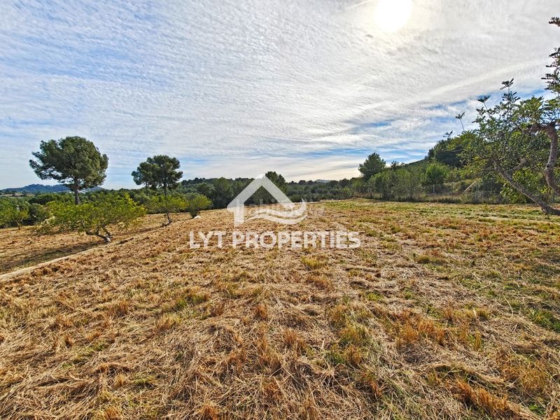 Foto db573885-4782-40f8-8f94-d2acc87d9169. Finca rústica a Partida Comunes-Adsubia Xàbia