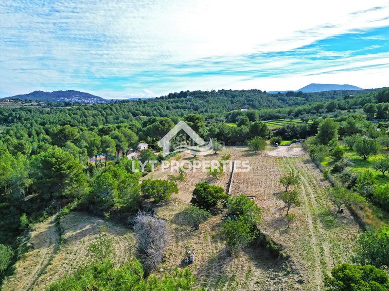 Foto dc0f7a22-6d9c-4614-bb9d-f7444ecad3ea. Finca rústica a Partida Comunes-Adsubia Xàbia