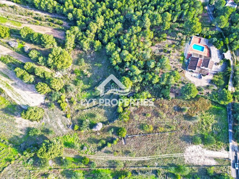 Foto f0771a30-7f2e-492a-8777-1ffd72201c4a. Finca rústica a Partida Comunes-Adsubia Xàbia