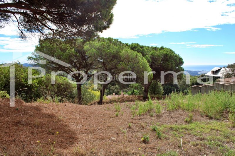 Foto 24841402-a05d-4961-bcf6-d8231c020078. Terreny residencial a Roca del Vallès (La)