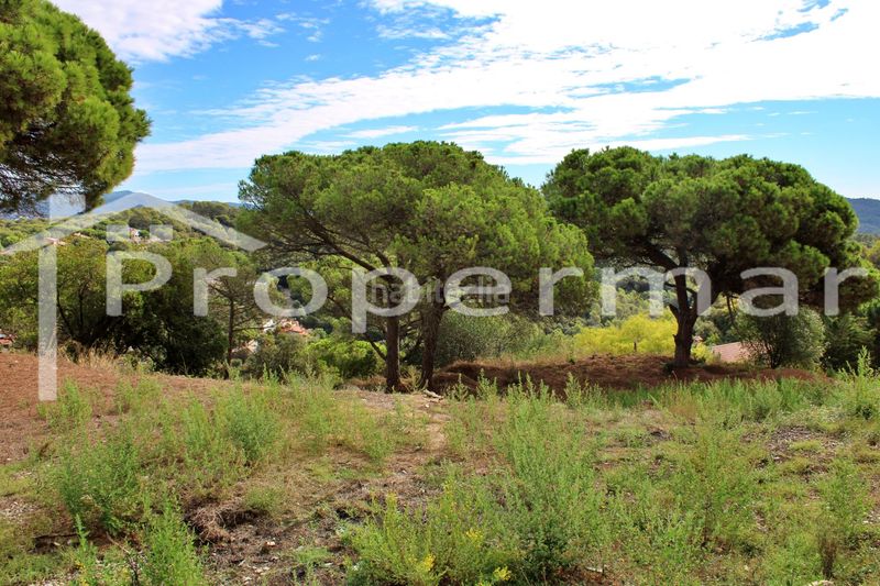 Foto 39ef3107-34d1-4c02-a465-48115ec5e032. Terreny residencial a Roca del Vallès (La)