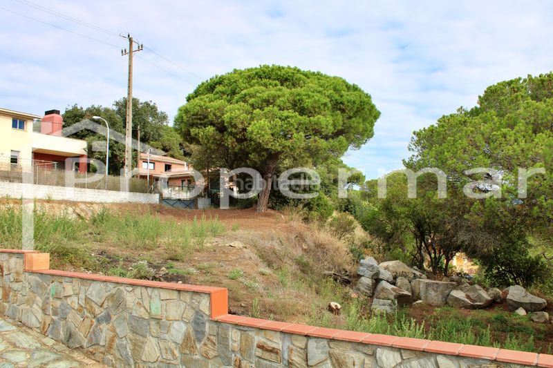 Foto 780822a7-5fc7-47a7-84cb-b1c88712f811. Terreny residencial a Roca del Vallès (La)
