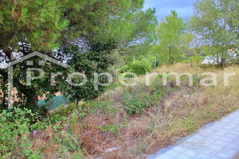 Foto 2c8de3a4-0204-4f15-85ce-17d988643267. Terreno residencial precio negociable !!!   increíble terreno les roquetes en Vilanova del Vallès