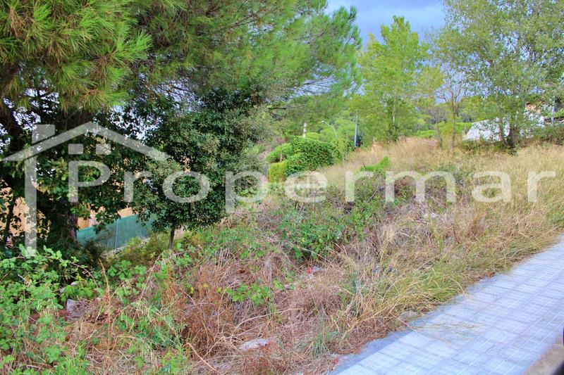 Foto 4230341d-4ef1-4483-9ea1-efb39ab2d9fd. Terreno residencial precio negociable !!!   increíble terreno les roquetes en Vilanova del Vallès