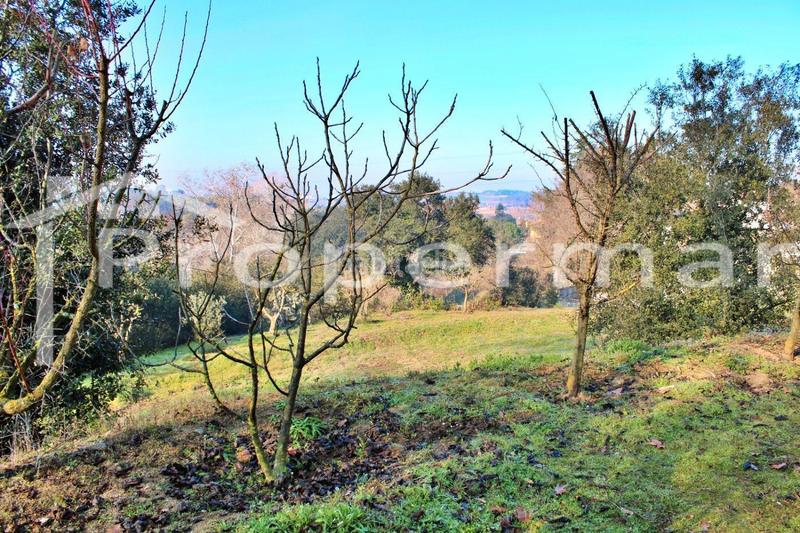 Foto 778dc18a-0bd8-4e22-9bc5-5f9b1c9b6989. Maison dans Vilanova del Vallès