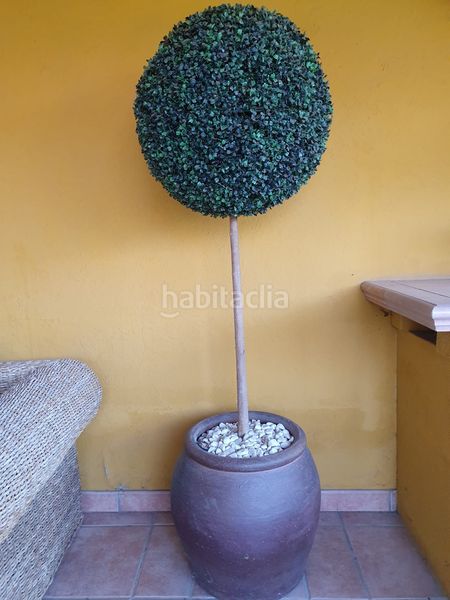 Foto 4dd9d285-c9a4-4126-b5d8-9d1c40e15b89. Casa amb calefacció piscina a Ametlla del Vallès (L´)