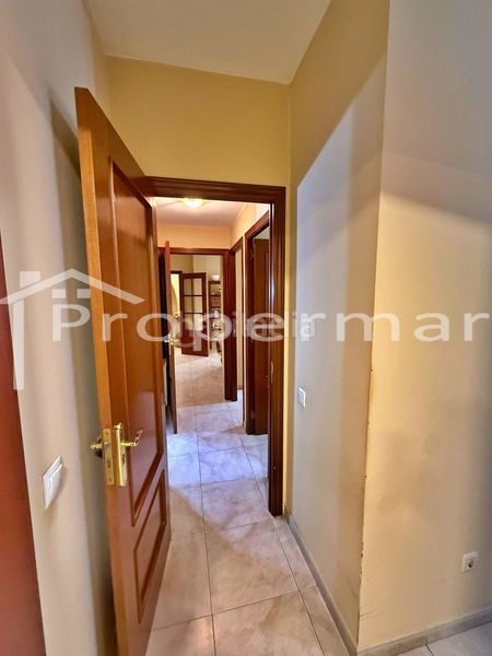 Foto fc609766-0d50-48bb-b0e8-29b21924edee. Piso magnifica planta baja en la roca del vallès en Roca del Vallès (La)