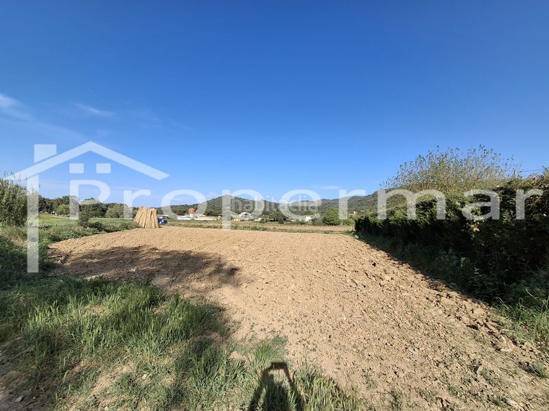 Foto 38985f9b-122b-4acc-bac5-f40073d808ae. Finca rústica a Roca del Vallès (La)