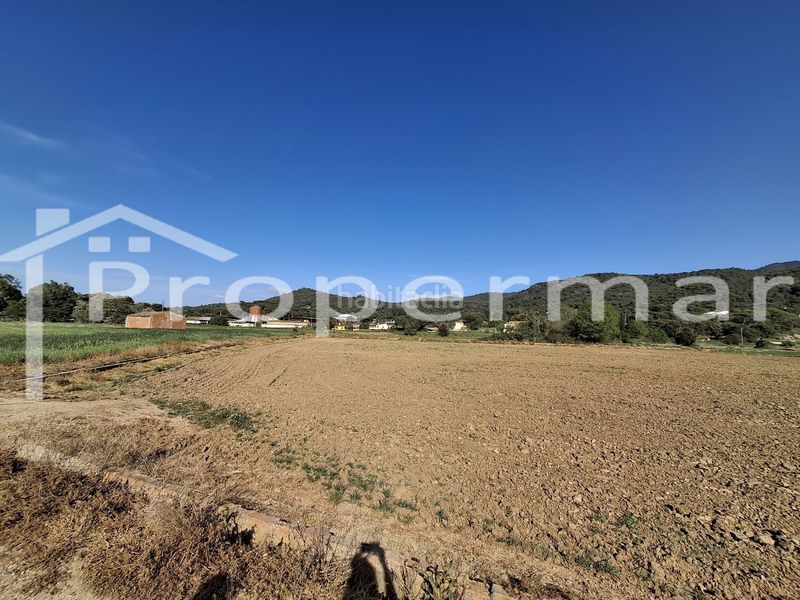 Foto 753051e8-fc63-4613-b18f-027fb6cf8fa0. Finca rústica a Roca del Vallès (La)