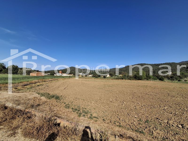 Foto c1046dc4-2d95-4dec-8b06-310542d3c3fc. Finca rústica a Roca del Vallès (La)