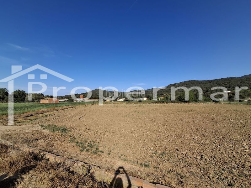 Foto cdf02409-444a-4b1e-96a5-65bc803ba15f. Finca rústica a Roca del Vallès (La)