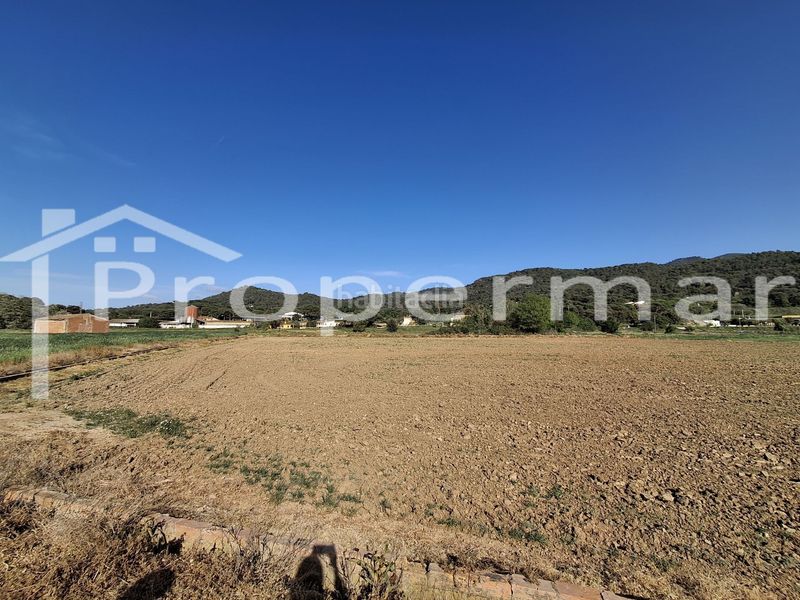 Foto e75cba2a-b8db-49c6-b8e9-44b778109c47. Finca rústica a Roca del Vallès (La)