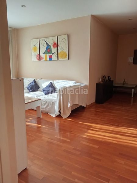 Foto e9f9870d-1bb1-453b-ad9e-541287cda60e. Pis a Sant miquel Granollers