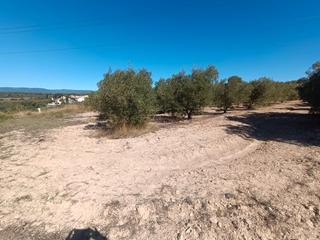 Landgut in Secuita (La). Terreno rustico en venta