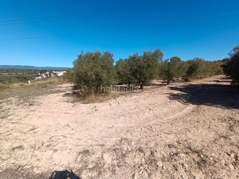 Foto 0ec647ee-32e7-449b-b63a-f48a1285b7fc. Finca rústica a Secuita (La)