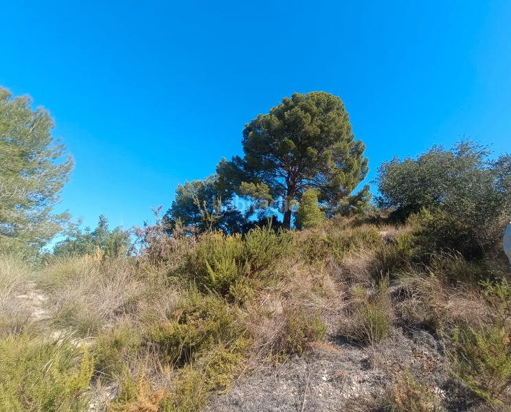 Foto 2b386996-f711-42e5-8883-70abb83e59ce. Finca rústica a Secuita (La)