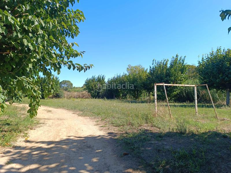 Foto 6febc7de-22d0-40f8-8886-13fd68a31a0c. Finca rústica a Secuita (La)