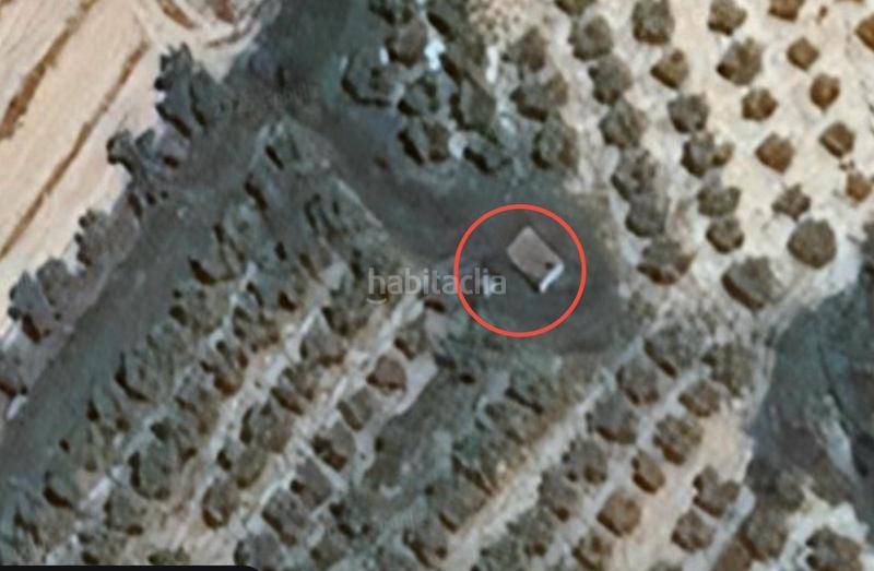 Foto 75dc8fd8-da92-40c3-ae3c-6c423a81fa9d. Finca rústica a Secuita (La)