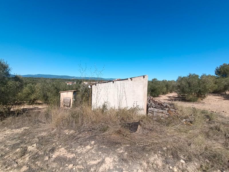 Foto 7d1faed3-3a7c-4fb7-9e0a-f9bcdcf706b3. Finca rústica a Secuita (La)