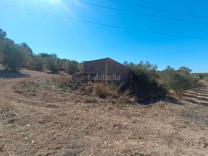 Foto 8cdb2df9-293e-4f55-a544-67e7eb0943bb. Finca rústica a Secuita (La)