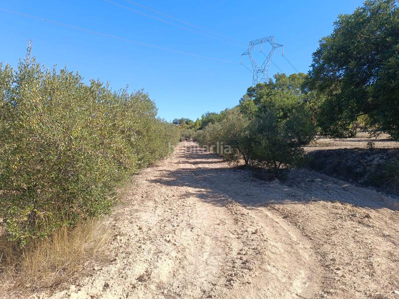 Foto 9a0619d2-76e1-477b-9f45-628019fc814b. Finca rústica a Secuita (La)