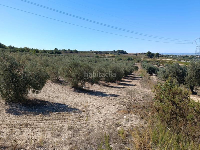 Foto bf86ec5a-2355-481b-9b93-2680ea42b1bb. Finca rústica a Secuita (La)