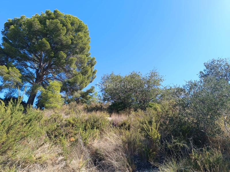 Foto d26e0b90-396d-462a-8dcf-82dac19faffe. Finca rústica a Secuita (La)