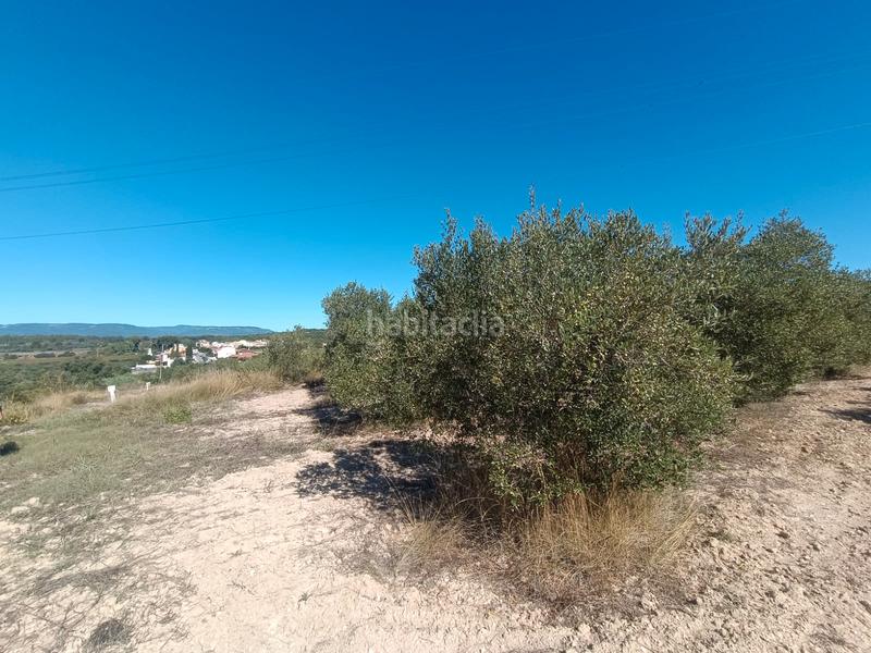 Foto f803d5ac-eab5-4c31-b534-3c82036c3d1a. Finca rústica a Secuita (La)