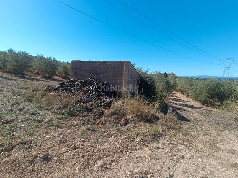 Foto fdc7c940-9ff3-4f82-8498-f5a296a8b7e8. Finca rústica a Secuita (La)