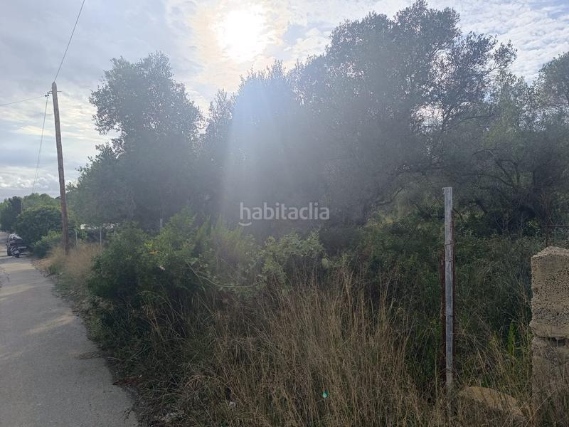 Foto 126d09f7-fa60-4dfa-80d2-77e6cc1224cc. Terrain résidentiel dans Catllar (El)