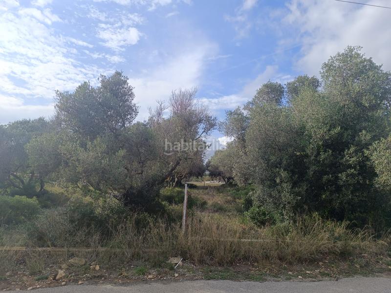 Foto 8eb3b13d-47b5-4fc3-b77e-6f39d2e45397. Terrain résidentiel dans Catllar (El)