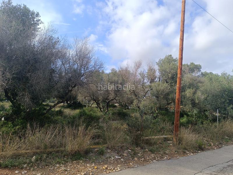 Foto a92ce8ad-3432-475b-bae4-b73e169acca2. Terrain résidentiel dans Catllar (El)