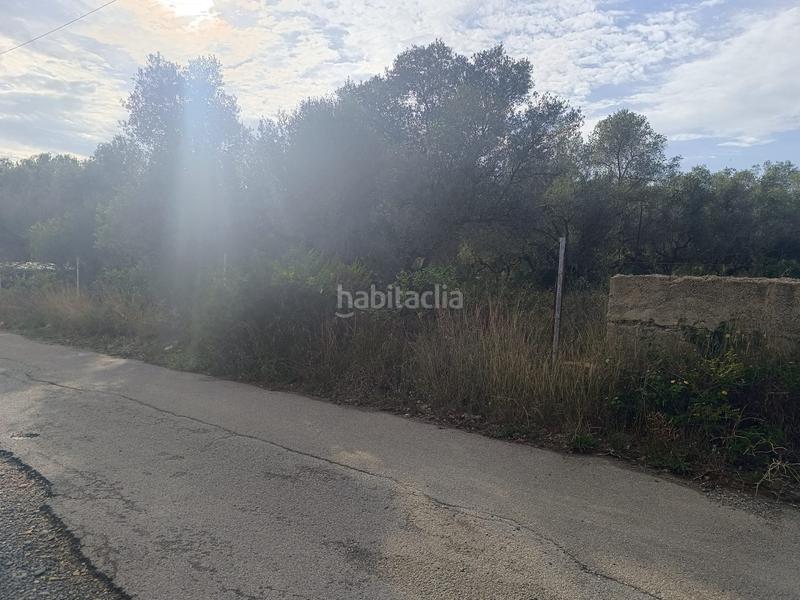 Foto adaedbf9-04f0-4ebc-a583-fe8f47efe10d. Terrain résidentiel dans Catllar (El)