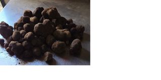 Finca r�stica  Te-8301