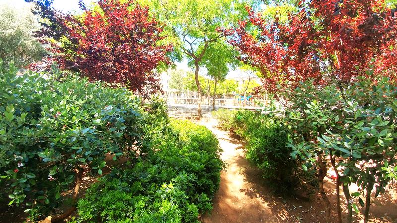 Foto ea772f43-aeef-4d52-9e8e-48df676cd2e9. Flat in Sants-Badal Barcelona