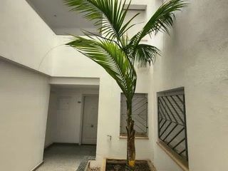 Apartament a Pals. Apartamento en platja de pals