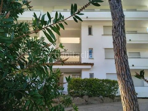 Foto e5110d6c-8c46-43a7-88d2-bf2f6c11f46a. Apartament amb calefacció a Pals