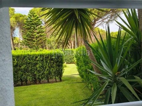 Foto d866a802-80b6-463a-bb34-2f1949342f8c. Apartamento en platja de Pals Pals