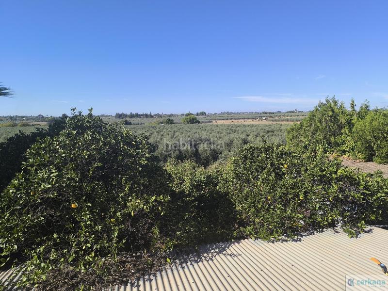 Foto 7b914082-3389-449c-ba2a-64a002b05b9b. Chalet in de sanlucar s/n in Loreto Espartinas