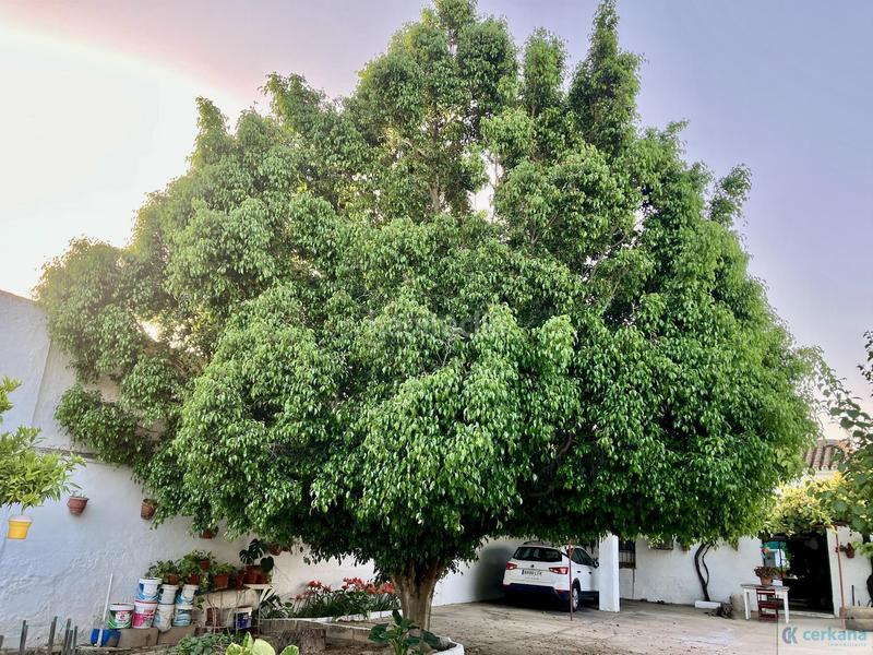 Foto f4e60b99-f6f2-4b58-9d7e-2b9db8ef0ef5. Casa in alcaldesa maria regla jimenez 162 in Espartinas pueblo Espartinas