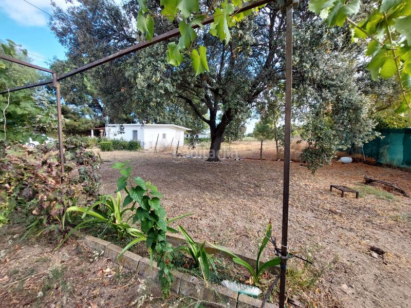 Foto 2e9b9d4e-5158-4475-8dbe-5238dc963466. Finca rústica a Santa Cruz del Retamar