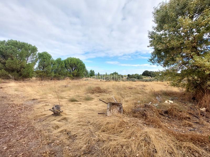 Foto 31633c11-ad6a-4ef0-888a-ceb6ea0d0fc6. Finca rústica a Santa Cruz del Retamar