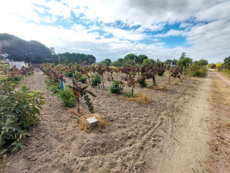 Foto 3e7b62a9-0202-4906-9742-8aa1141eac89. Finca rústica a Santa Cruz del Retamar