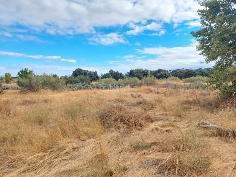 Foto 43d5f8fc-d9e0-49af-9267-ad06e0b2cd6b. Finca rústica a Santa Cruz del Retamar