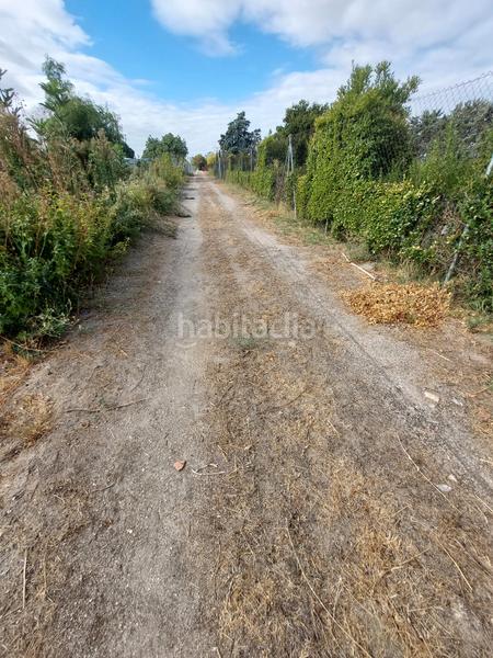 Foto 91bc790c-babf-4f71-8ebd-52d3511a409e. Finca rústica a Santa Cruz del Retamar