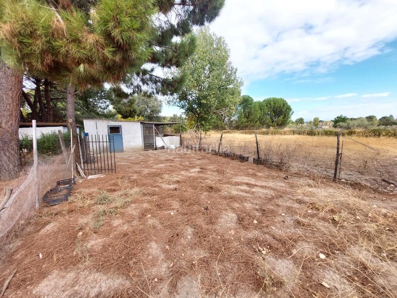 Foto 9963e031-63f2-40df-8219-1af55cf8c83b. Finca rústica a Santa Cruz del Retamar