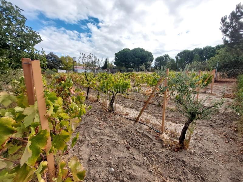 Foto ac7be3e4-7887-420d-aec4-5a6863316e2a. Finca rústica a Santa Cruz del Retamar