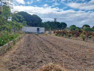Finca rústica a Santa Cruz del Retamar