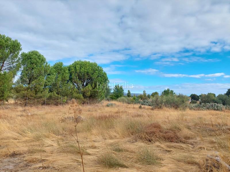 Foto f601230d-a78b-4b3c-ac52-8cfea15aaa80. Finca rústica a Santa Cruz del Retamar